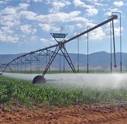 Center pivot spraying