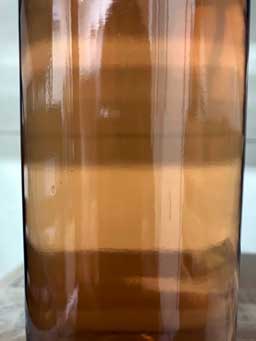 Rose in flint bottle