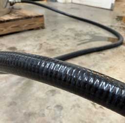 Sangiovese deep freeze day 2